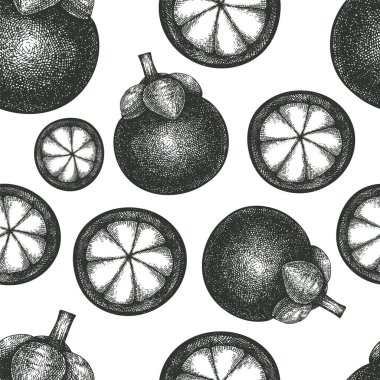 El çizimi taslak, mangoseronlu, pürüzsüz desen. Organik taze gıda vektör çizimi. Retro meyve arkaplanı.