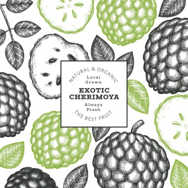 El yapımı çizim stili Cherimoya afişi. Organik taze meyve vektörü çizimi. İşlenmiş stil botanik tasarım şablonu.