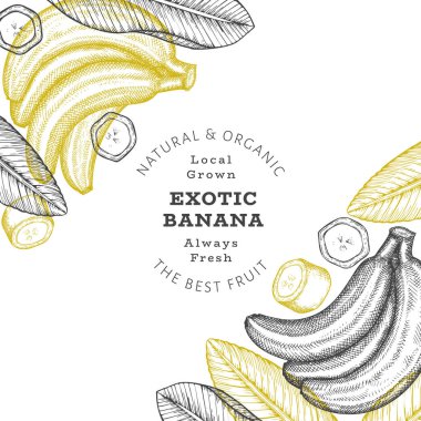 Elle çizilmiş muz pankartı. Organik taze meyve vektörü çizimi. Retro egzotik meyve tasarım şablonu