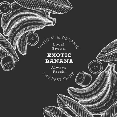 Elle çizilmiş muz pankartı. Tebeşir tahtasında organik taze meyve vektör çizimi. Retro egzotik meyve tasarım şablonu