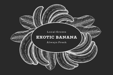 Elle çizilmiş muz pankartı. Tebeşir tahtasında organik taze meyve vektör çizimi. Retro egzotik meyve tasarım şablonu