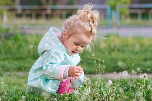 Klein Schattig Meisje Het Park Zachte Focus Achtergrond — Stockfoto