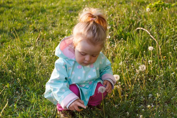 Klein Schattig Meisje Het Park Zachte Focus Achtergrond — Stockfoto