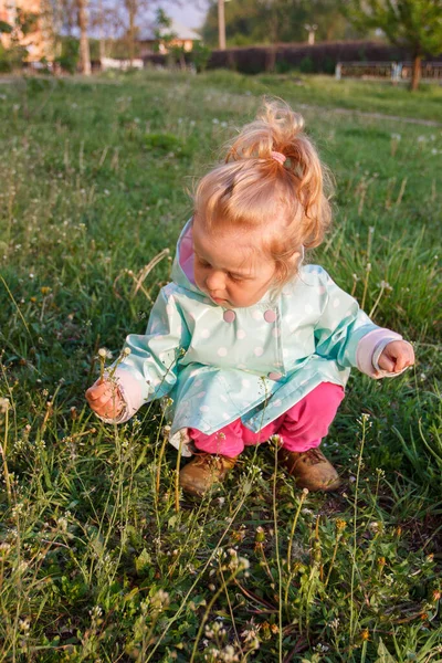 Маленька Мила Дівчинка Парку Який Фон Фокуса — стокове фото