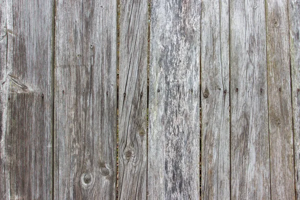 風合いの異なる古い板からの背景 — ストック写真