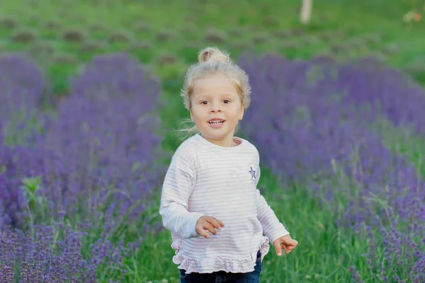 Klein Mooi Meisje Het Gebied Van Lavendel Bloemen Zachte Focus — Stockfoto