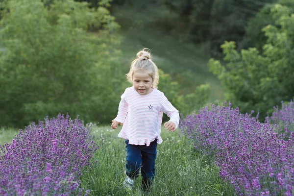 Klein Mooi Meisje Het Gebied Van Lavendel Bloemen Zachte Focus — Stockfoto