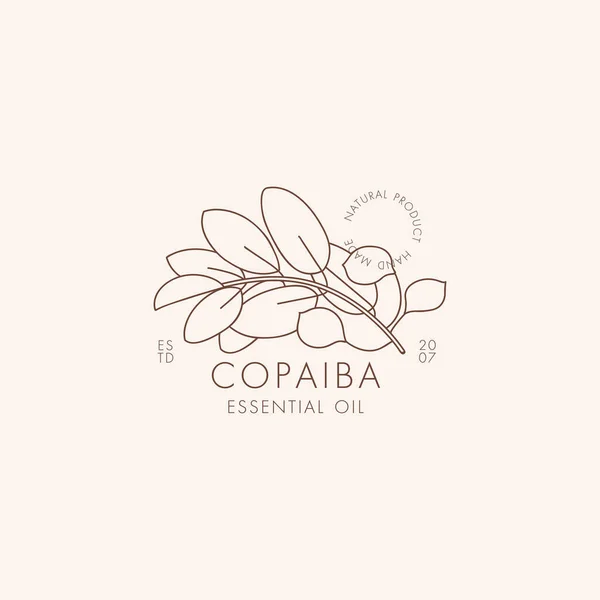 Vektorlineares botanisches Symbol und Symbol - Copaiba. Design-Logo für ätherisches Öl copaiba. Naturkosmetik. — Stockvektor