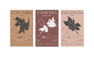 Kahve paketleri için vektör tasarım etiketleri. Kahve çekirdekleri dallı minimalist ve modern tasarım.