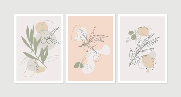 Vector Illustration Set Posters Cards Olive Branches Simple Linear Style — Stockvektor