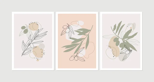 Vector Illustration Set Posters Cards Olive Branches Simple Linear Style —  Vetores de Stock