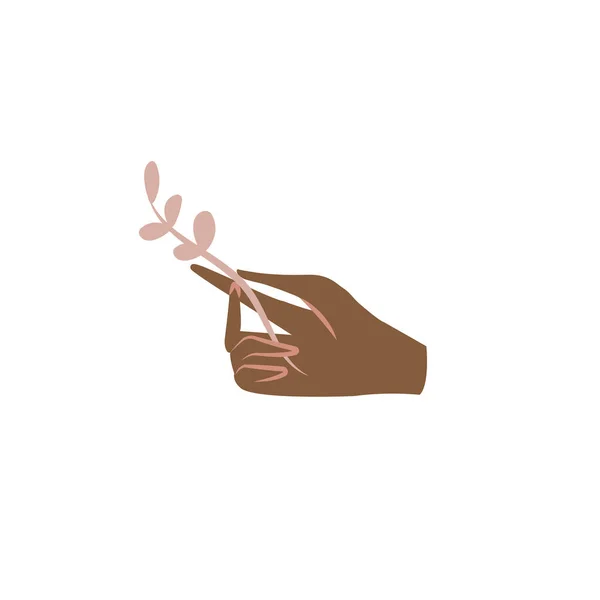 Vector Illustration Female Hand Floral Branch Isolated White Background — 스톡 벡터