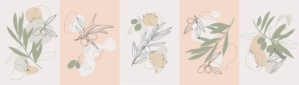 Vector Illustration Set Posters Cards Olive Branches Simple Linear Style — Διανυσματικό Αρχείο