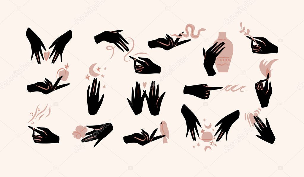 Vector illustration - female hands in in different gestures. Abstract symbol for cosmetics and packaging or beauty products