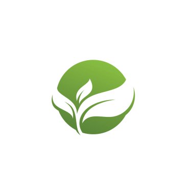 Yeşil yaprak logo ekolojik element vektör şablonu