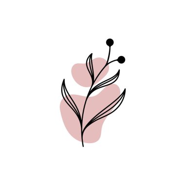 Zarif el çizimi ve minimal stilde vektör botanik şablonu. İzole nesne çiçeği. Rozetler için logosu ve damgası var. 