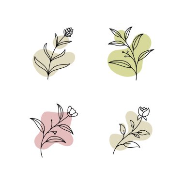 Zarif el çizimi ve minimal stilde vektör botanik şablonu. İzole nesne çiçeği. Rozetler için logosu ve damgası var. 