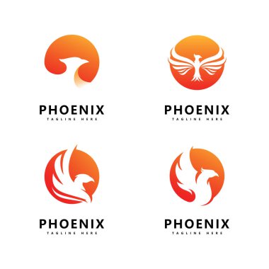 Phoenix logo vektör şablonu tasarımı 