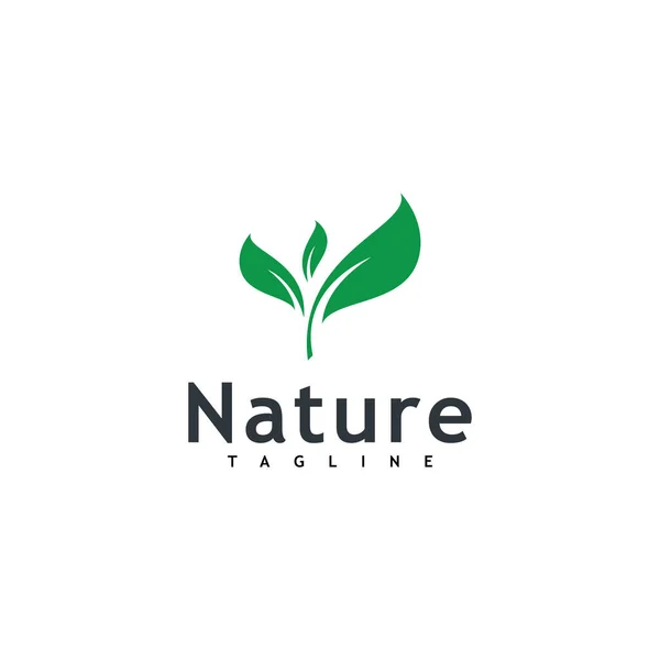 Leaf Logo Vector Nature Symbol Template Design — Stockový vektor