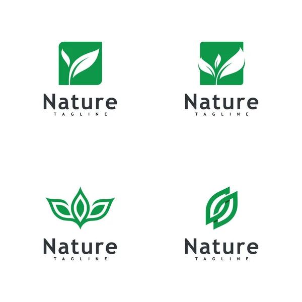 Leaf Logo Vector Nature Symbol Template Design — Stockvektor