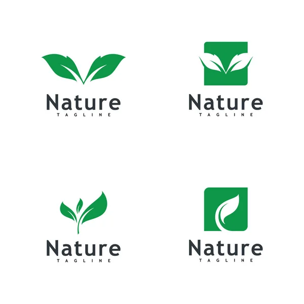 Leaf Logo Vector Nature Symbol Template Design — Stockvektor