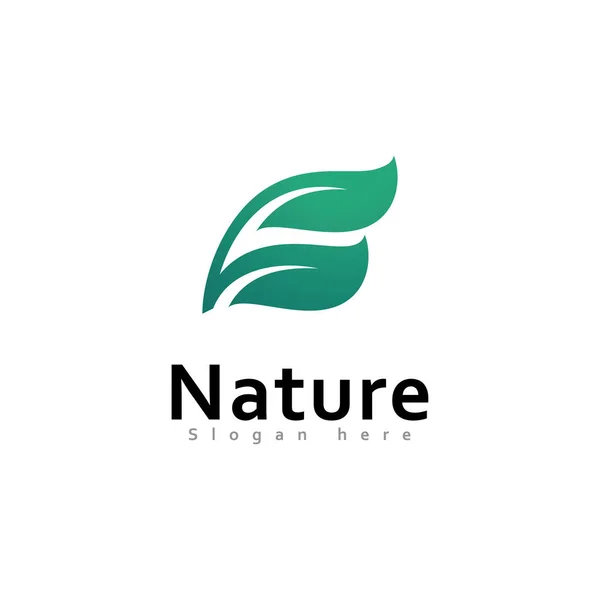 Grünes Blatt Natur Element Ökologie Vektor Design — Stockvektor