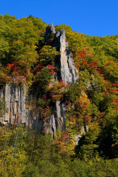 Herfst Bladeren Steile Kliffen — Stockfoto