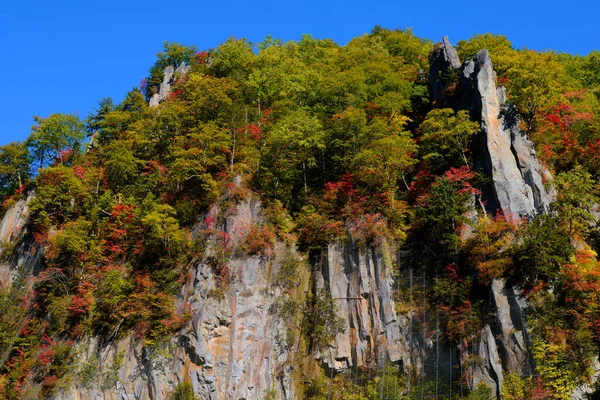 Herfst Bladeren Steile Kliffen — Stockfoto