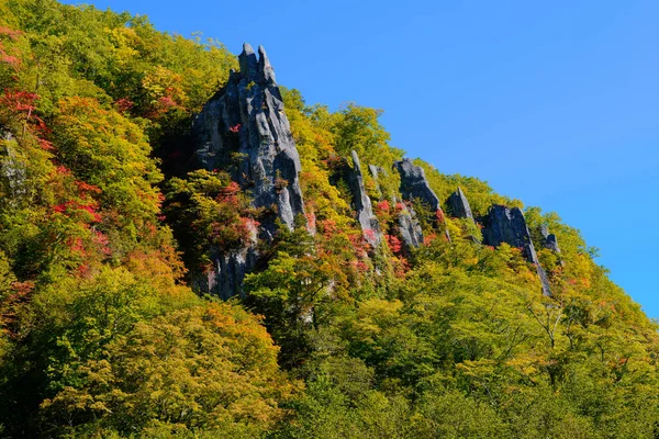 Herfst Bladeren Steile Kliffen — Stockfoto