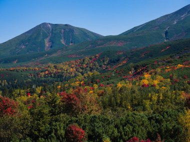 Daisetuzan Milli Parkı 'nda sonbahar manzarası
