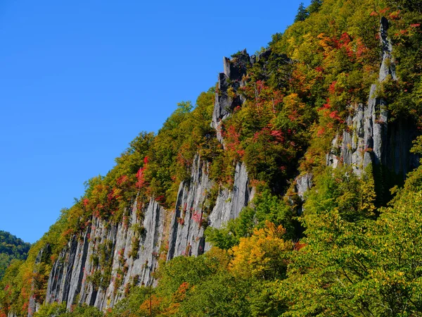 Herfst Bladeren Steile Kliffen — Stockfoto