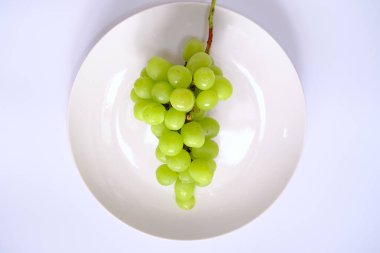 Beyaz tabakta misk kedisi parlıyor