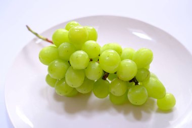 Beyaz tabakta misk kedisi parlıyor