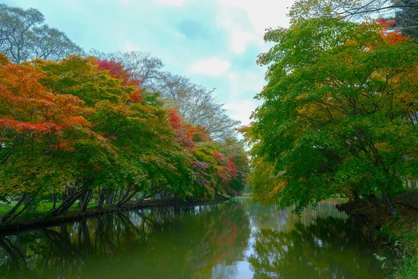 Hojas Otoño Parque Shimizu — Foto de Stock