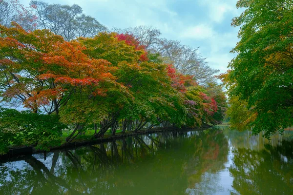 Podzimní Listí Parku Shimizu — Stock fotografie