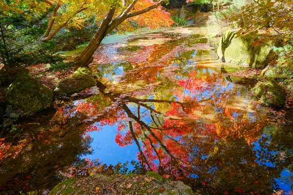 Herbstblätter Spiegeln Sich Wasser — Stockfoto