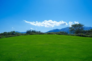 Çim hill ve mavi gökyüzü