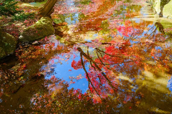 Hojas Otoño Reflejadas Agua —  Fotos de Stock