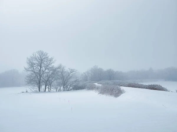 Paisagem Dia Neve Hokkaido — Fotografia de Stock