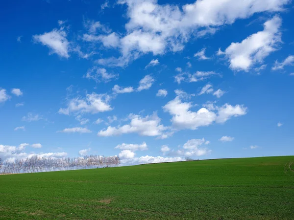 Mavi Gökyüzü Yeşil Alanlar — Stok fotoğraf