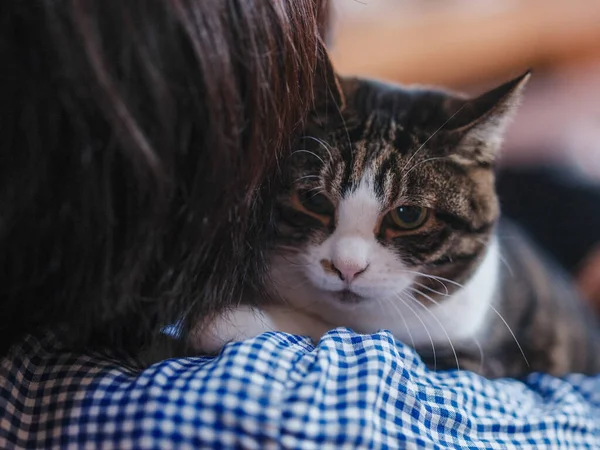 猫を飼っている者 — ストック写真