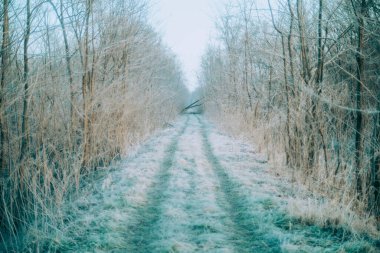 Kışın çıkmaz yol