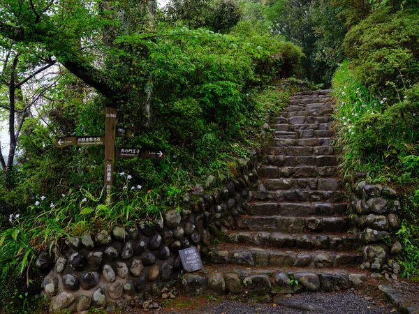 Kumano Kodo Wakayama Japan — Foto Stock