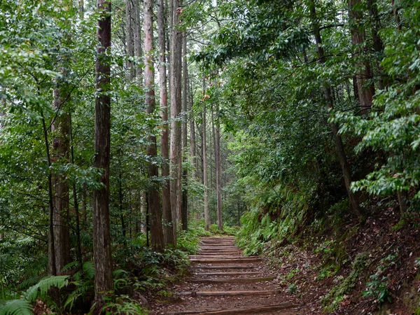 Kumano Kodo Wakayama Japón —  Fotos de Stock