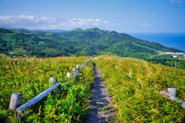 Rebun Adası 'nın güzel manzarası