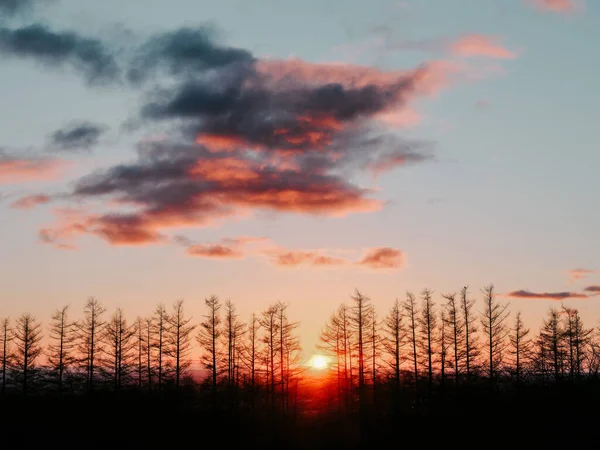 Nascer Sol Inverno Manhã Japão — Fotografia de Stock
