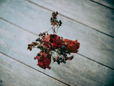 Beyaz masada kurumuş kırmızı gül çiçeği