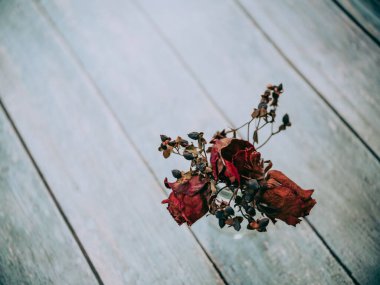 Beyaz masada kurumuş kırmızı gül çiçeği