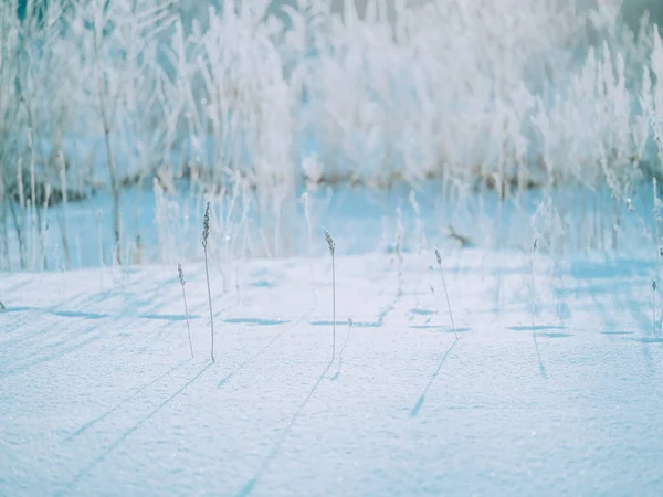 Footprints Left Snow Field — 图库照片
