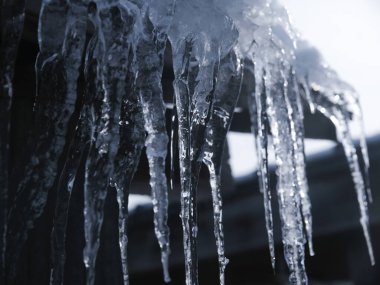 buz üzerinde saçak